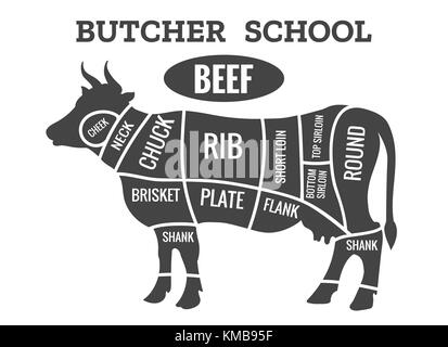 Mucca butcher diagramma. Il taglio di carne di manzo o bistecca tagli schema grafico per il ristorante poster illustrazione vettoriale Illustrazione Vettoriale