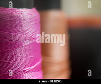 Filo rosa stelo, filati per cucire la linea e gli steli in background, closeup macro Foto Stock
