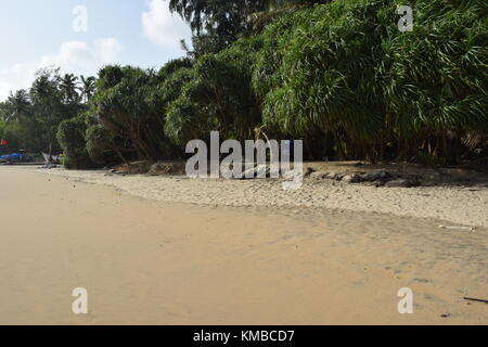 Le spiagge di Goa : fresca e tranquilla spiaggia di sabbia di immagini da India. seashore Lungomare / Spiaggia / foto / silenziosa spiaggia vuota di Goa, India Foto Stock