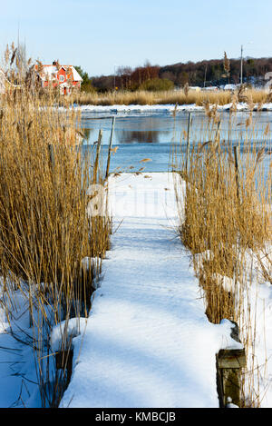 Piccola coperta di neve pier di uscire in parte di mare congelati con reed su entrambi i lati. casa rossa visibile sul lato opposto della baia. ubicazione hjortahammar ho Foto Stock