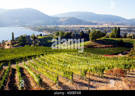 Vista di vigneti che si affaccia sul lago skaha e skaha spiaggia situato nella Okanagan Valley in penticton, British Columbia, Canada. Foto Stock