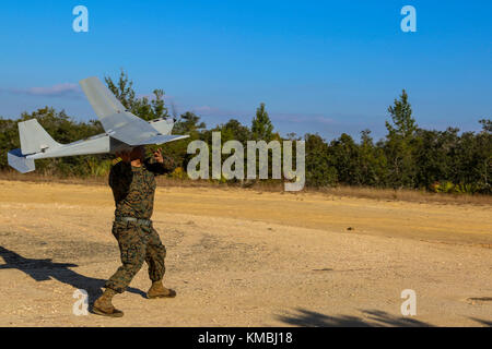 Una marina statunitense con la 26a unità di spedizione marina (MEU) si prepara a lanciare un sistema aereo non presidiato (UAS) RQ-20A Puma durante l'esercizio Combined Composite Training Unit (COMPTUEX), sulla gamma di impatto Pine Castle a Pine Castle, Florida, 28 novembre 2017. L'esercizio consente a tutti gli elementi della Marine Air Ground Task Force (MAGTF) di unirsi e allenarsi in scenari realistici in modo che l'UEO nel suo complesso possa raggiungere gli obiettivi del programma di formazione pre-implementazione prima del loro prossimo impiego in mare. (STATI UNITI Corpo marino Foto Stock