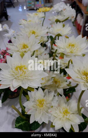Acqua artificiale Lily piante fiorite sul display fresca e reale Foto Stock