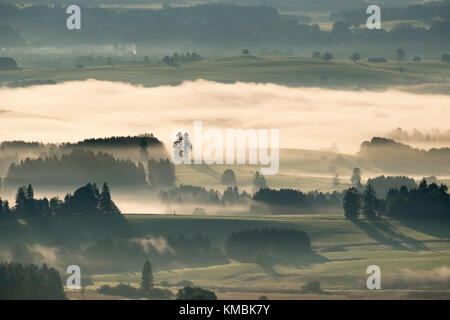 Nebbia di mattina, vista dall'Auerberg vicino a Bernbeuren, Algovia, Alta Baviera, Baviera, Germania Foto Stock