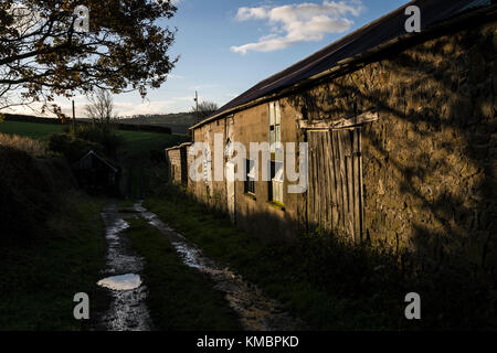 Devon fienile con rusty corragated lenzuola,un fienile è un edificio agricolo solitamente su Fattorie,le strutture di memorizzazione per non trebbiate cereali e foraggi, la Foto Stock