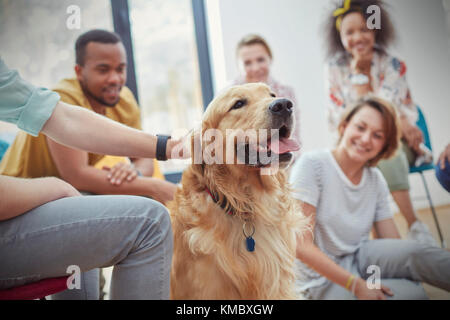 Persone che accarezzano il cane nella sessione di terapia di gruppo Foto Stock