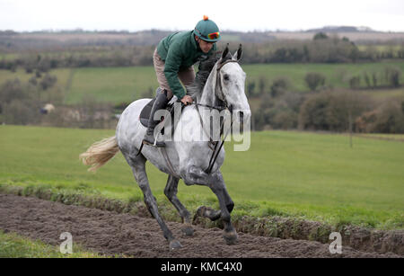 Bristol De mai sull'galoppa durante la visita di stabile a Grange Hill Farm, Cheltenham. Foto Stock