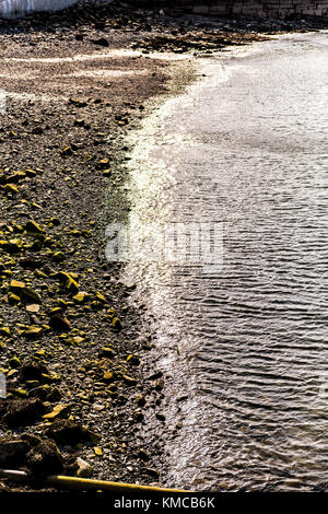 Antenna piatta vista superiore verso il basso di spiaggia rocciosa costa in Bar Harbor, Maine dal parco nazionale di Acadia Foto Stock