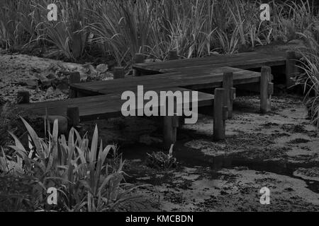 Robusto ponte di legno è il solo percorso su acqua palustre nella fotografia in bianco e nero. La posizione è nitobe memorial garden in Vancouver, British Columbia, Foto Stock