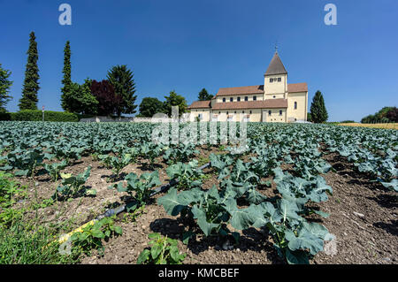 Anno 1000 vecchia chiesa di San Giorgio , Reichenau, il lago di Costanza - Germania Foto Stock