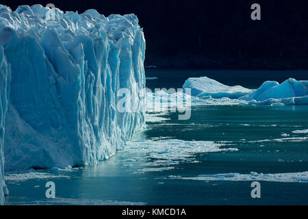La faccia terminale del ghiacciaio Perito Moreno e lago argentino, Parque Nacional Los Glaciares (area del patrimonio mondiale), Patagonia, Argentina, Sud America Foto Stock