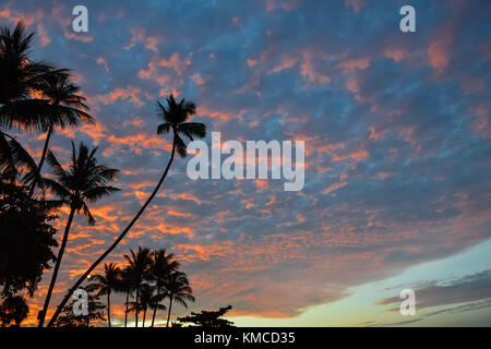 Tramonto con silhouette di alberi di noce di cocco in Thailandia Beach, Koh Samui Island Foto Stock