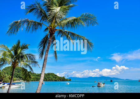 Bella tropical palme di cocco in Thailandia spiaggia dell'isola di Samui, famosa meta di vacanze Foto Stock