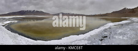 Salt Lake tso kar: in primo piano un arrotondati a riva, verde acqua e depositi bianchi di sali minerali, l'Himalaya, India, una foto panorama. Foto Stock