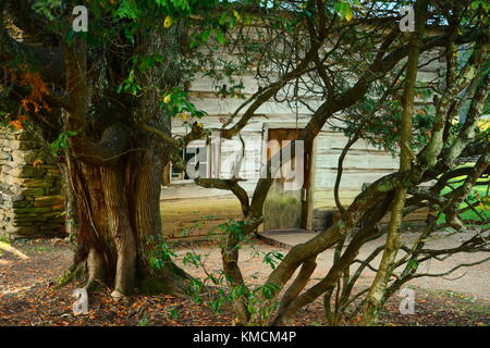 Questa piccola casa nascosti nei boschi è servita come la Casa del fabbro nello storico Mulino Mabry durante i primi anni del Novecento. Foto Stock