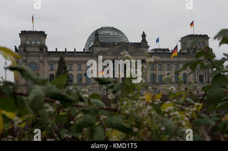 Berlino, Germania. 6 dicembre 2017. L'edificio del Reichstag si trova dietro le piante a Berlino, Germania, il 6 dicembre 2017. Il Reichstag è il luogo di incontro del parlamento tedesco (Bundestag). Crediti: Paul Zinken/dpa/ZB/dpa/Alamy Live News Foto Stock