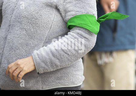 Washington, District of Columbia, USA. 6 dicembre 2017. Una manifestante indossa una fascia di braccio verde che indica che parteciperà alla disobbedienza civile durante una manifestazione contro l'abrogazione dell'azione differita per gli arrivi infantili, DACA, programma degli Stati Uniti Donald J. Trump, presso il Campidoglio degli Stati Uniti a Washington, DC. Durante la manifestazione, diversi manifestanti sono stati trattenuti dalla polizia del Campidoglio degli Stati Uniti durante un atto di disobbedienza civile sui gradini del Campidoglio. Crediti: Alex Edelman/ZUMA Wire/Alamy Live News Foto Stock