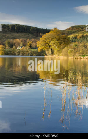 Kinlochard, Loch Ard, aberfoyle il Trossachs sterlingshire Scozia Scotland Foto Stock