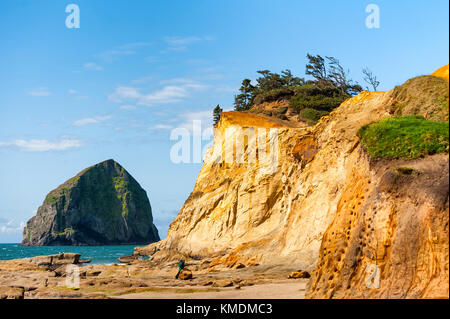 Scogliere di arenaria e altre formazioni geologiche compensato questo panorama di Haystack Rock circondato dalle acque dell'Oceano Pacifico. Foto Stock