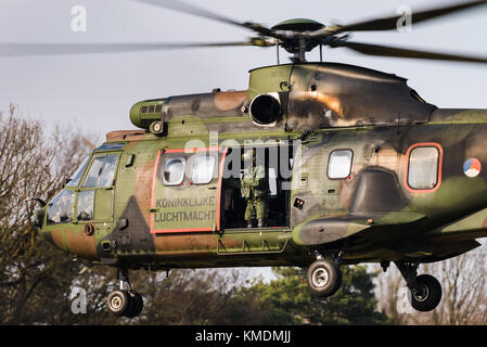 Un Eurocopter AS 532 Cougar trasporto militare elicottero della Royal Netherlands Air Force a Gilze Rijen Air Base. Foto Stock