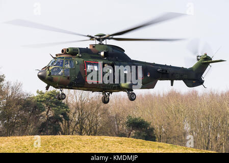 Un Eurocopter AS 532 Cougar trasporto militare elicottero della Royal Netherlands Air Force a Gilze Rijen Air Base. Foto Stock