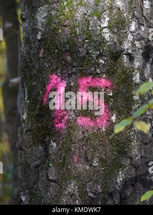 Numeri dipinti su albero Foto Stock