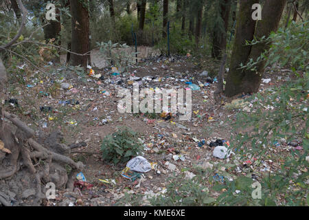 Sacchetti di plastica e altri rifiuti gettati giù la banca a mcleod ganj, India Foto Stock