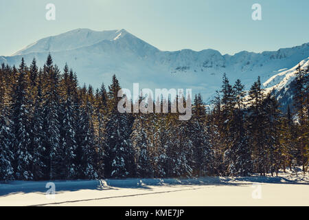 Inverno nelle montagne Tatra, valle Koscieliska Foto Stock