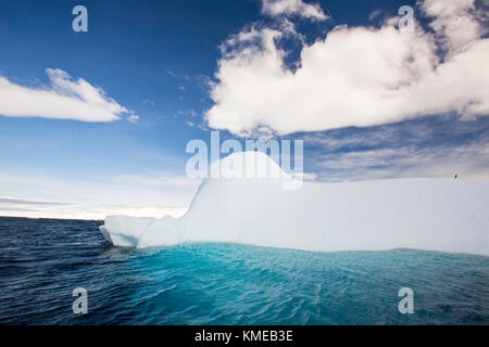 Un lone Adelie Penguin su un iceberg la fusione in Suspiros Bay off Joinville isola appena al di fuori della penisola antartica.La penisola è uno dei più veloci tra luoghi di riscaldamento del pianeta. Foto Stock