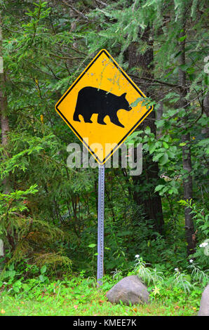 Montagne Adirondack, NY segnaletica di avvertimento black bear area di intersezione nel deserto. Foto Stock