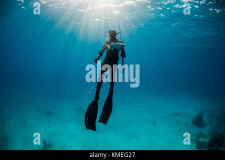 Tuffati dalla superficie dopo aver spiearato il pesce di mare mentre pesca all'angua in oceano, Clarence Town, Long Island, Bahamas Foto Stock