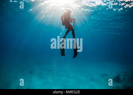 Tuffati dalla superficie dopo aver spiearato il pesce di mare mentre pesca all'angua in oceano, Clarence Town, Long Island, Bahamas Foto Stock