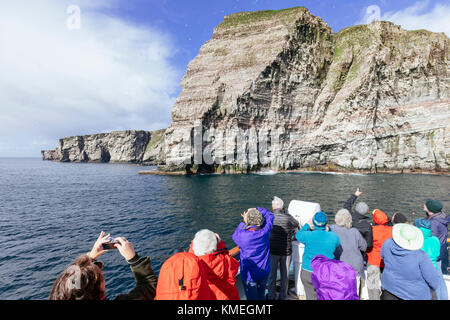 I passeggeri delle navi che guardano alla vista delle scogliere di arenaria, Noss, Shetland Islands, Scozia, Regno Unito Foto Stock