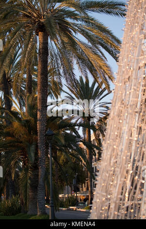 Palma di Maiorca, isole Baleari, Spagna - 5 dicembre 2017: paseo maritimo crepuscolo palme e il porto con la luce di Natale decorazioni su dicembre Foto Stock