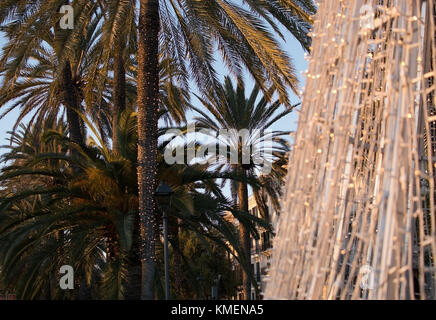 Palma di Maiorca, isole Baleari, Spagna - 5 dicembre 2017: paseo maritimo crepuscolo palme e il porto con la luce di Natale decorazioni su dicembre Foto Stock