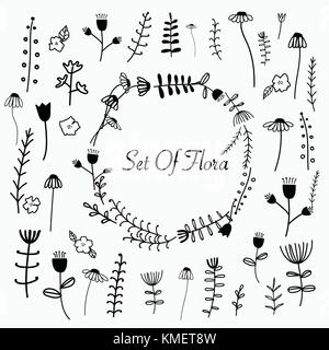 Disegnata a mano insieme di flora. illustrazione vettoriale. Illustrazione Vettoriale