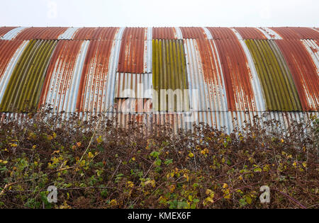 Metallo ondulato edificio in ambiente rurale, Norfolk, Inghilterra Foto Stock