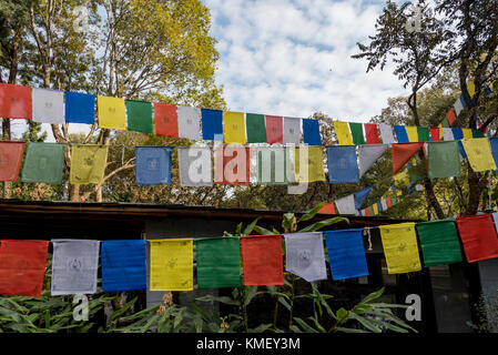 Più la preghiera buddista bandiere alta al Norbulingka Istituto vicino Dharamshala, India. Foto Stock