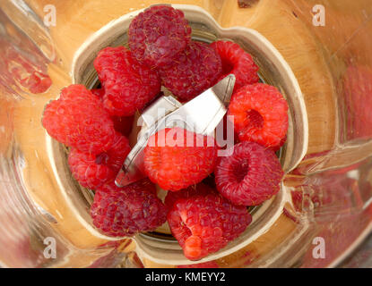 Lamponi nel frullatore sul tavolato in legno Foto Stock