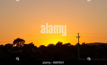 Sole che tramonta dietro stagliano alberi Foto Stock