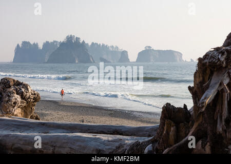 Riatlo spiaggia dell'oceano pacifico nel parco nazionale di Olympic nella costa dello stato di Washington negli stati uniti Foto Stock