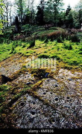 Cup e anello di marchi marchio neolitico preistoriche rupestri su roccia naturale affioramento a Poltalloch in Kilmartin Valley, Argyll, Scotland, Regno Unito Foto Stock