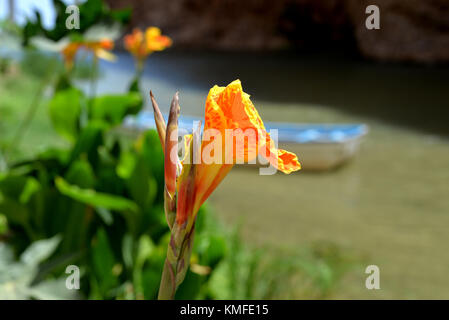 Il fiume che scorre attraverso il Wadi FUSC - Oman Foto Stock