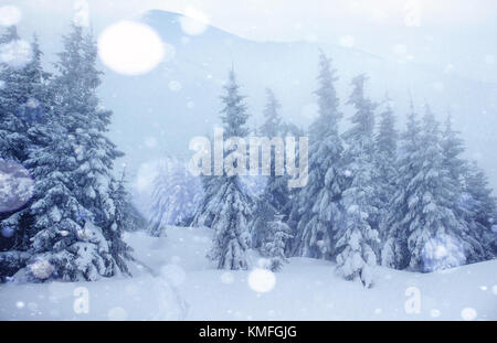 Misterioso paesaggio invernale maestose montagne in inverno. Inverno magico coperta di neve albero. Carta fotografica per biglietti d'auguri. Bokeh effetto di luce, filtro morbido. Le carpe Foto Stock