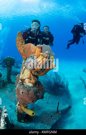 I subacquei sul relitto dell'oro verde, Grand Cayman Foto Stock