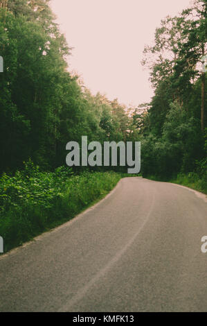 Forest road trip. Un vecchio asfalto. La lettonia. Foto Stock