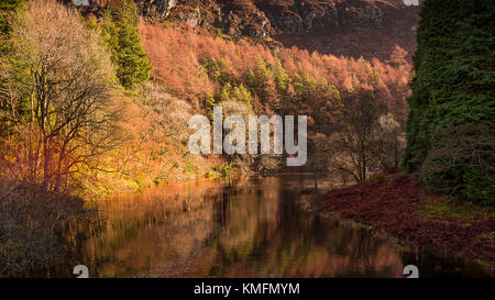 Un paesaggio autunnale shpwing fiume elan nell'Elan valley mid wales uk serpeggianti tra bei colori che si riflettono nel fiume Foto Stock