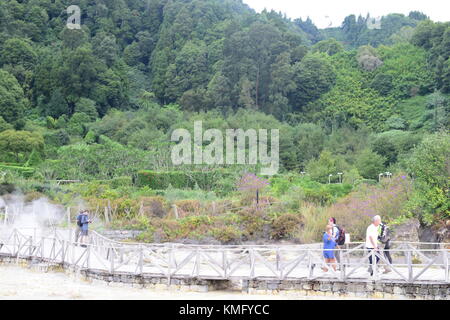 Fumarolas da Lagoa das Furnas, Sao Miguel, Azzorre, Acores. Geyser Foto Stock