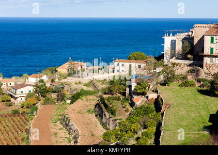 Terrazze di vigneti in Banyalbufar, Maiorca, SPAGNA Foto Stock