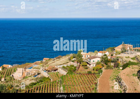 Terrazze di vigneti in Banyalbufar, Maiorca, SPAGNA Foto Stock